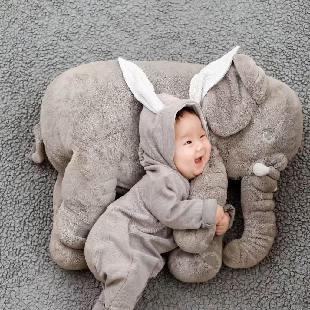 相信党相信国家