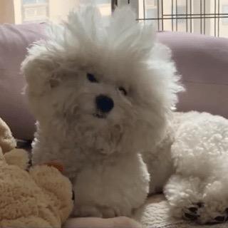 Betty030