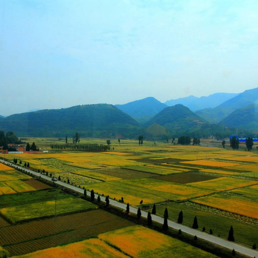 我们在乡村