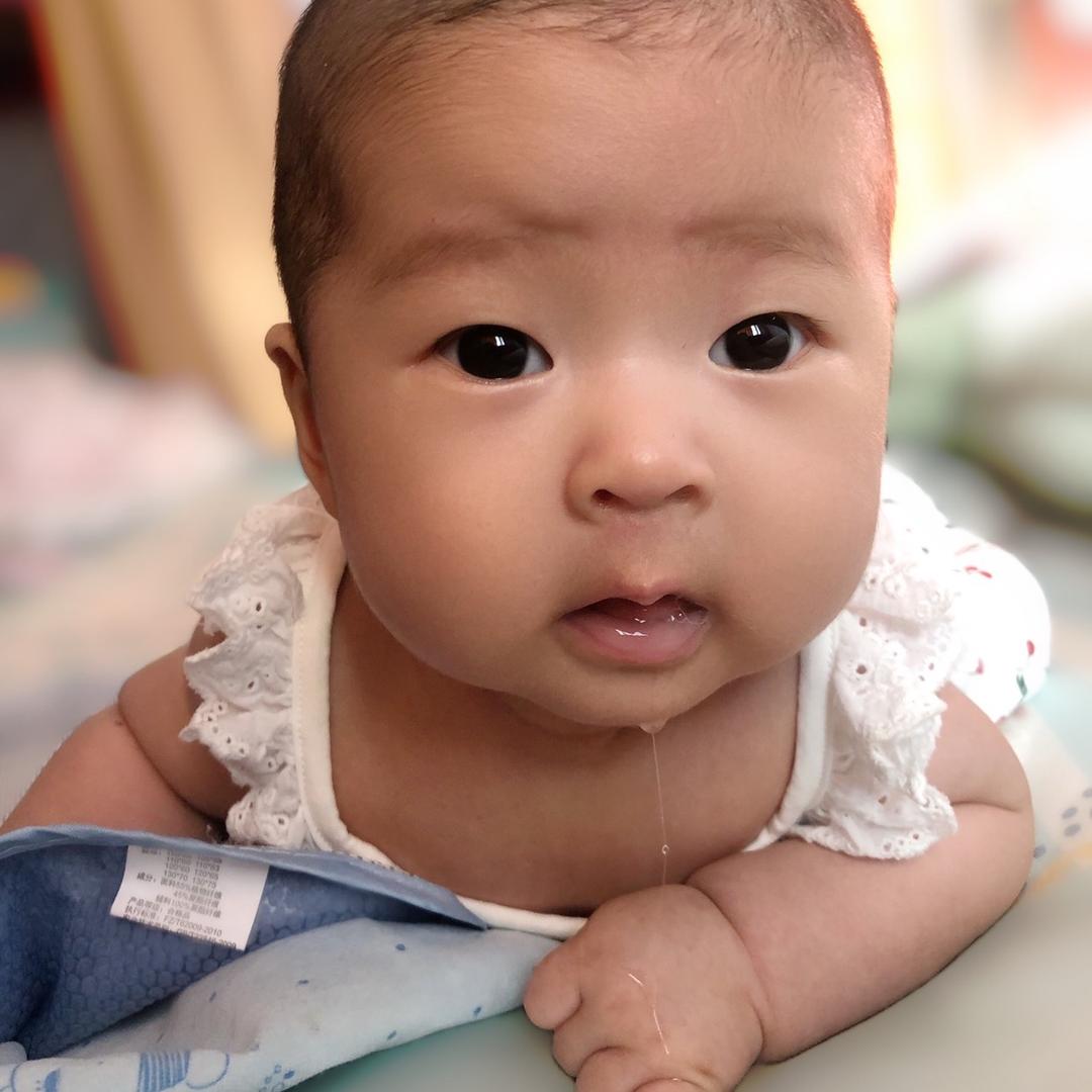 陈芝麻❤️