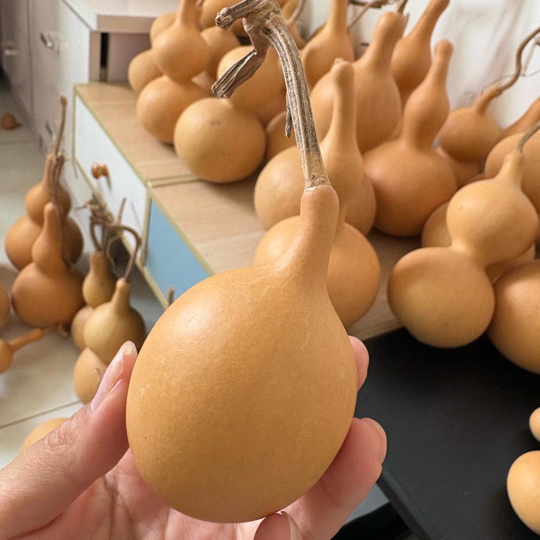 二皮葫芦