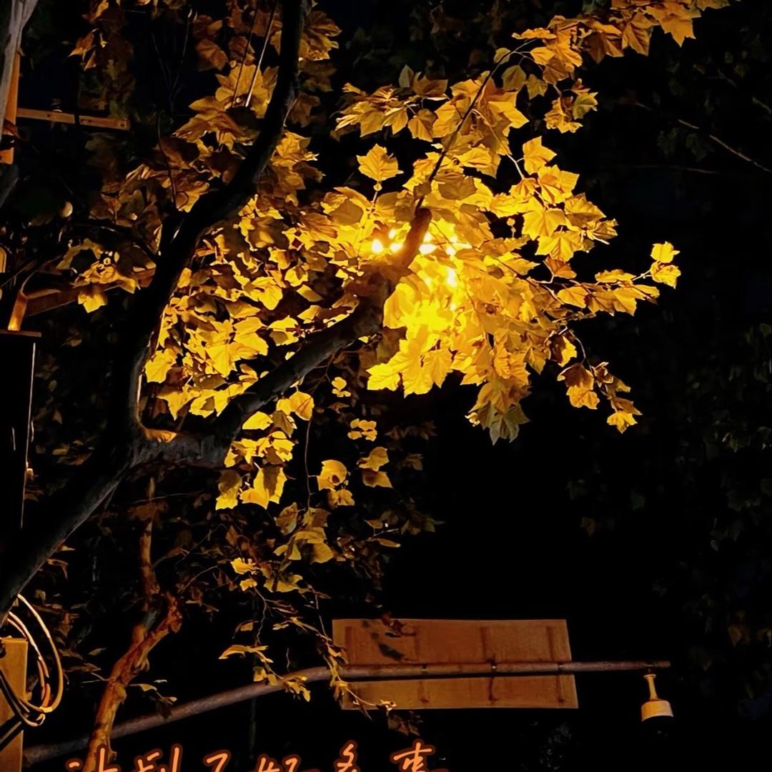 岚公子