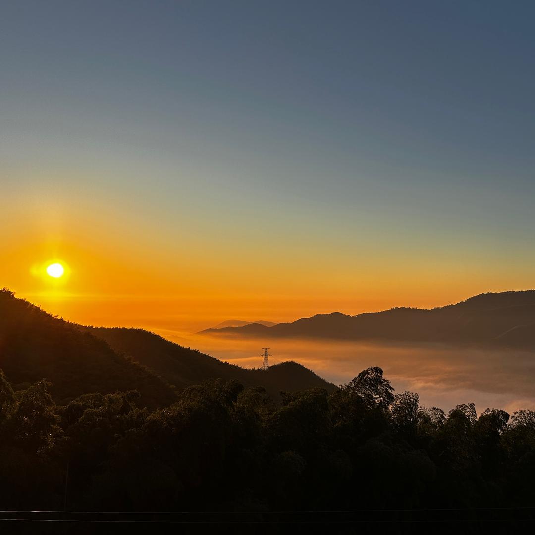 湫（不会拉花）