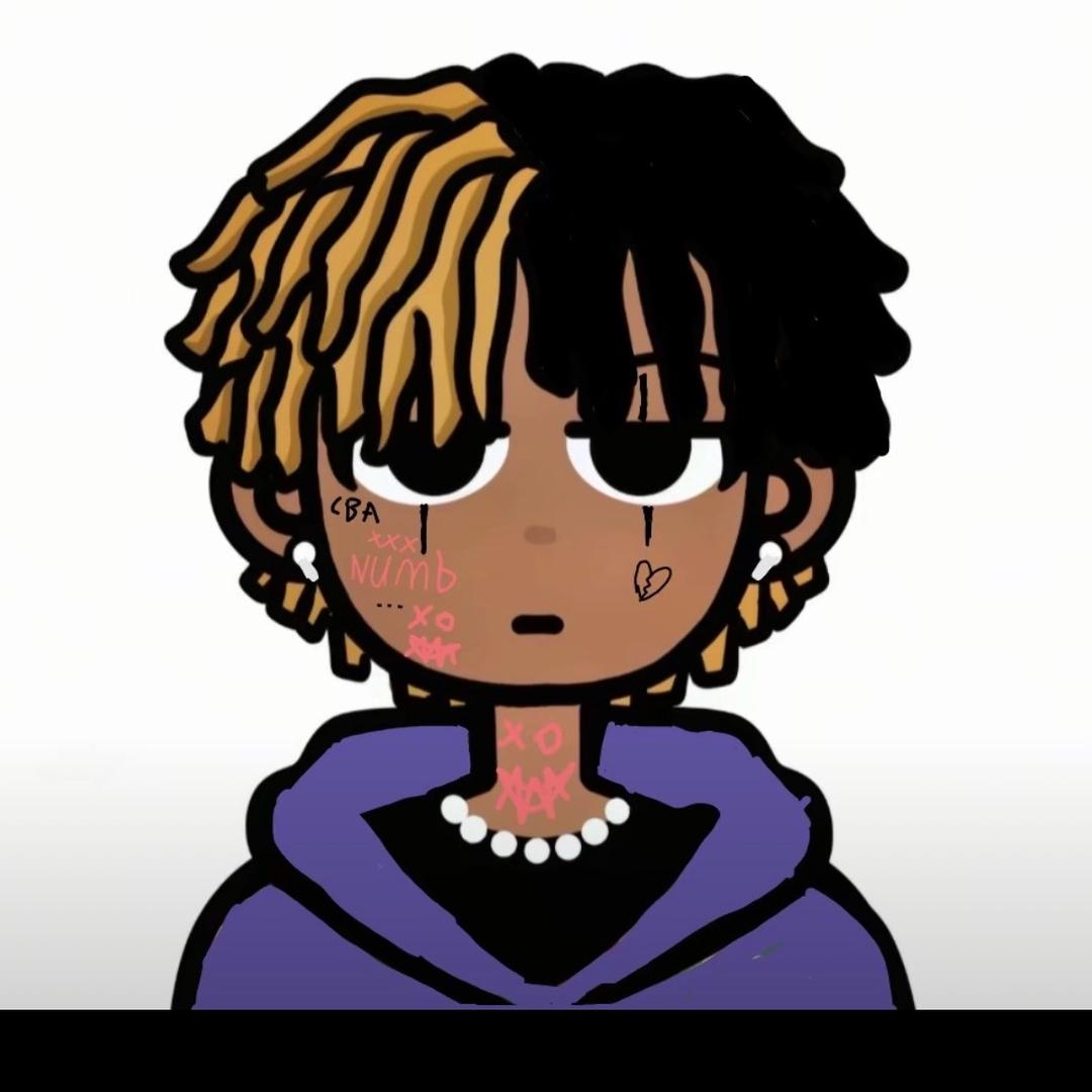 17🐾