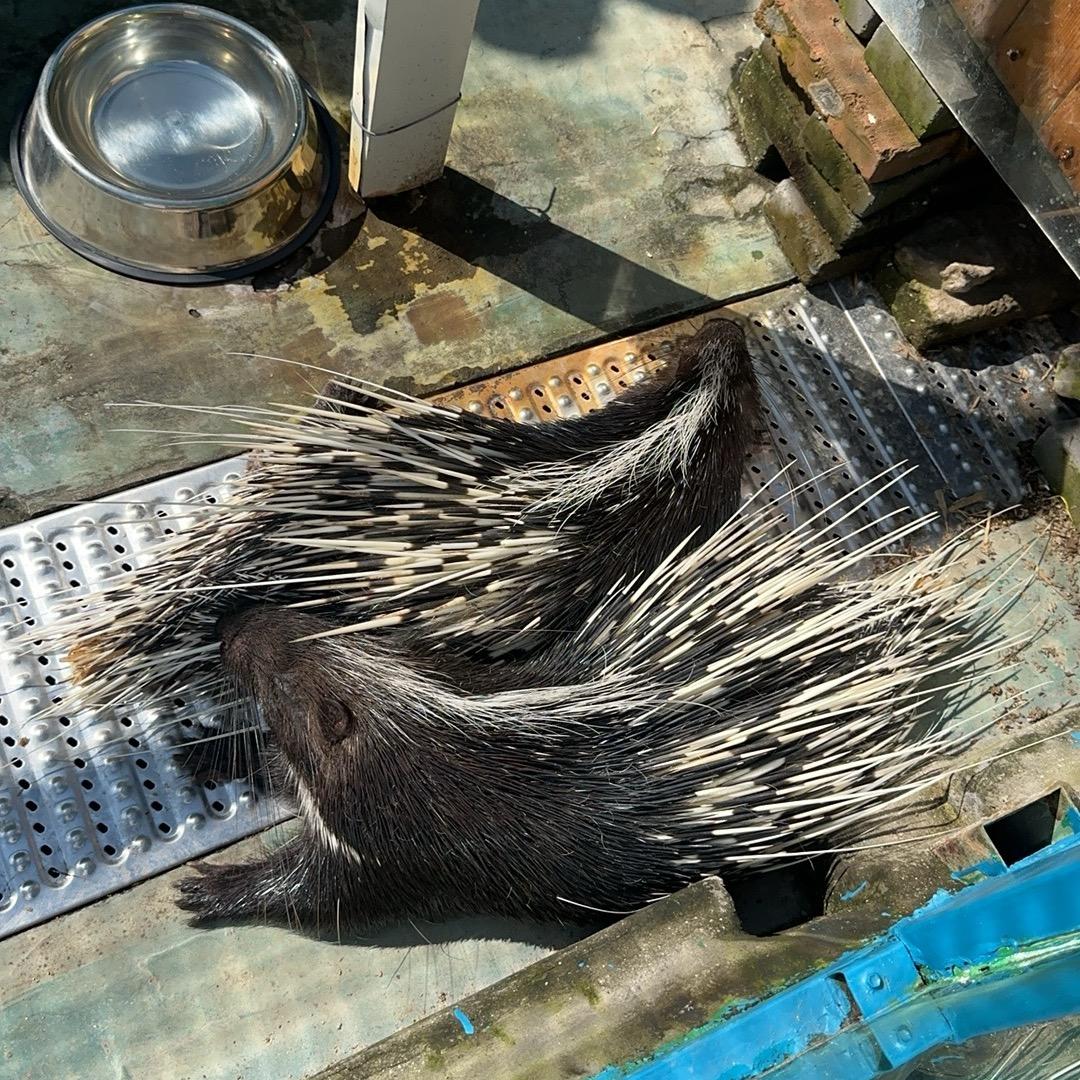 淅淅沥沥