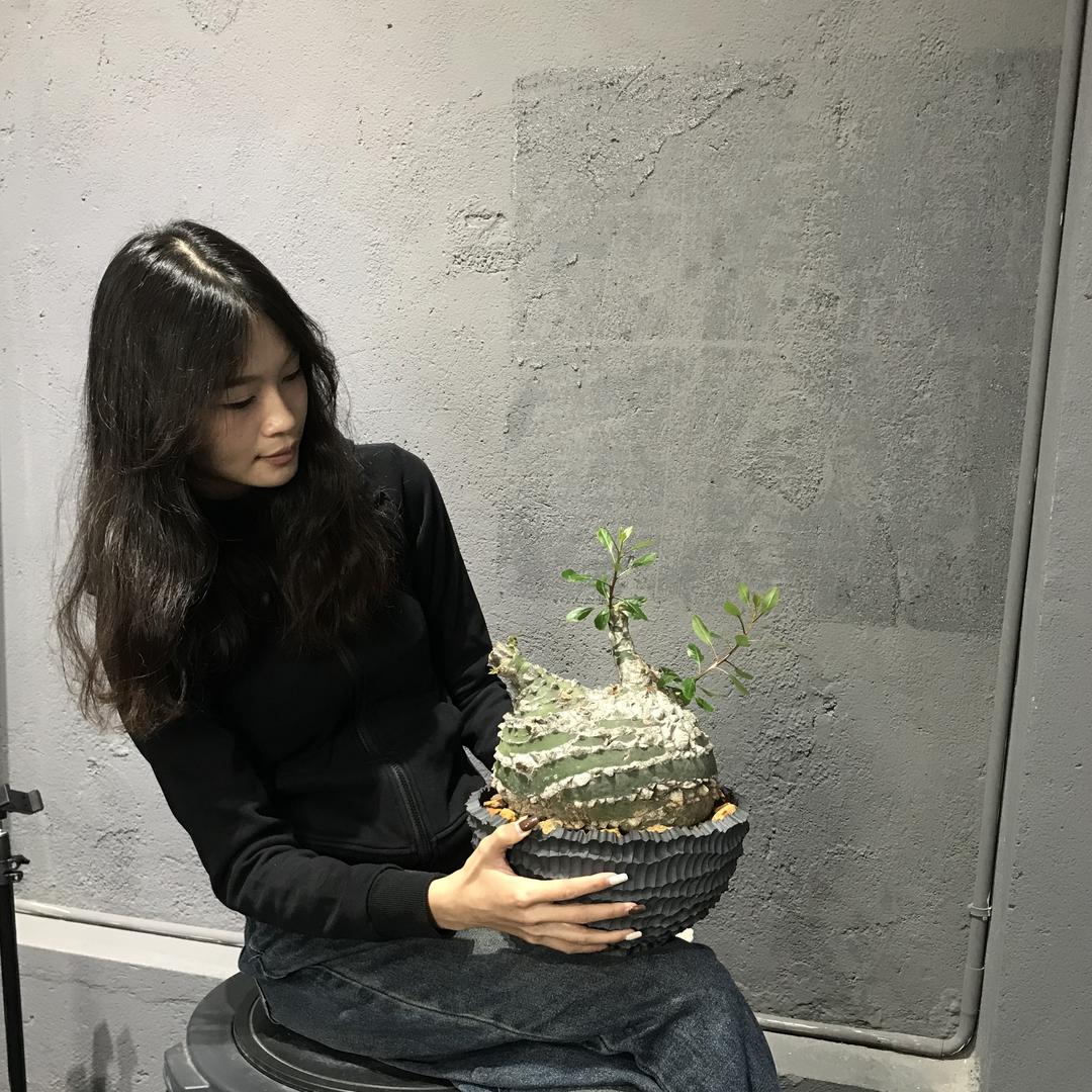 小丸子块根记希睿花店