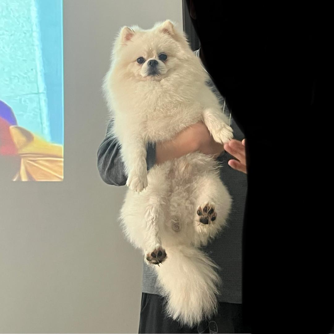 村口卖香瓜的