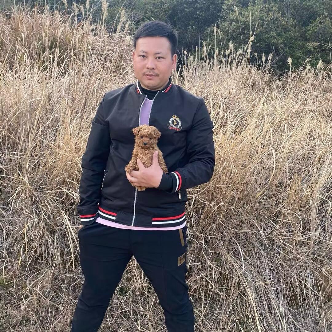 阿本