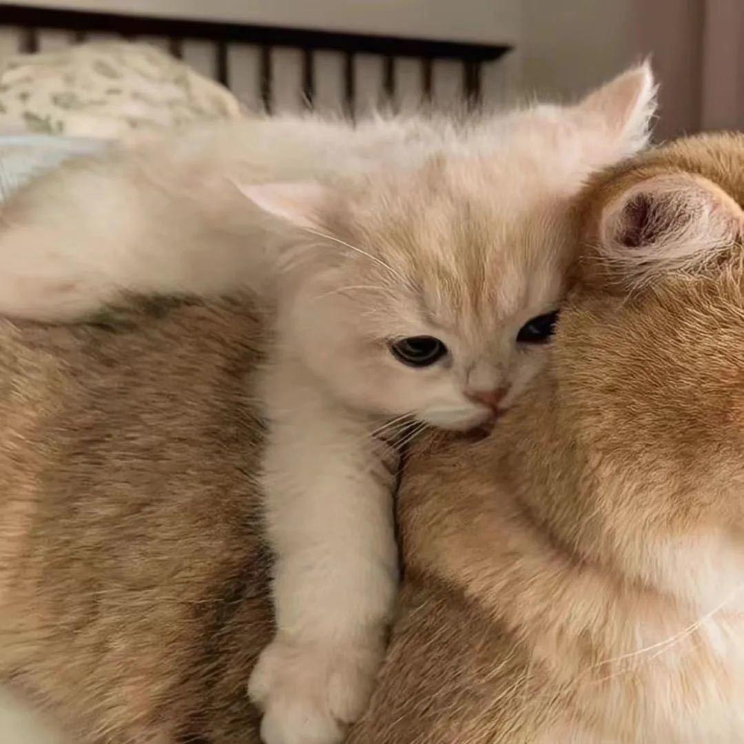 娜娜❤️
