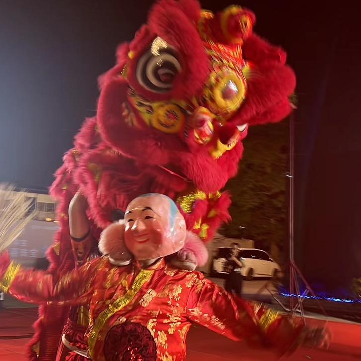 振兴龙狮团（黄团）