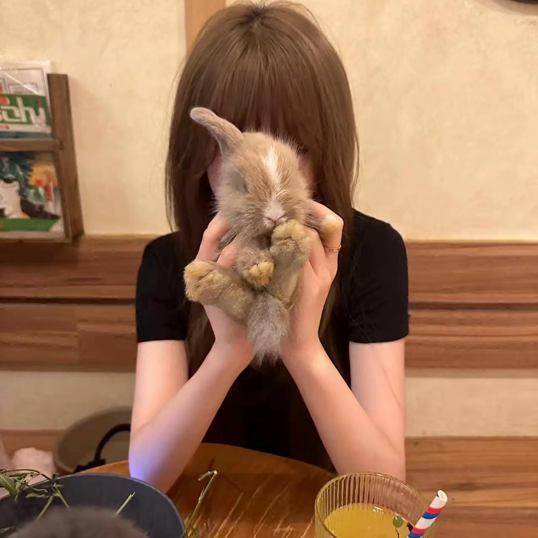 . 蛋蛋 .