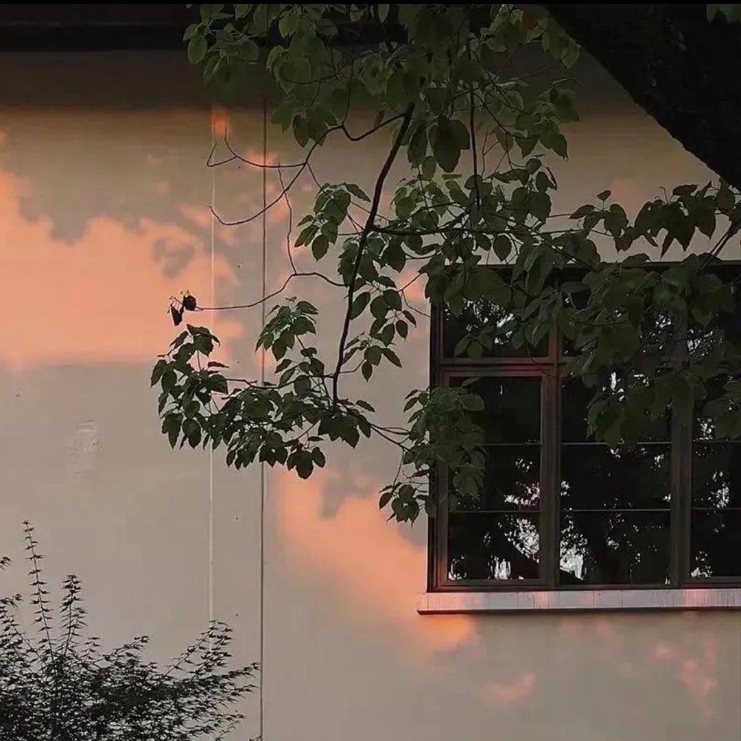 (ღ♡❣️♡ღ)