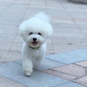 ღ᭄平安ꫛ喜楽💞