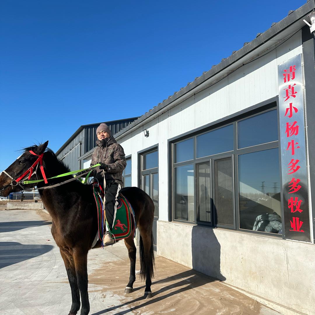 清真小杨牛多多