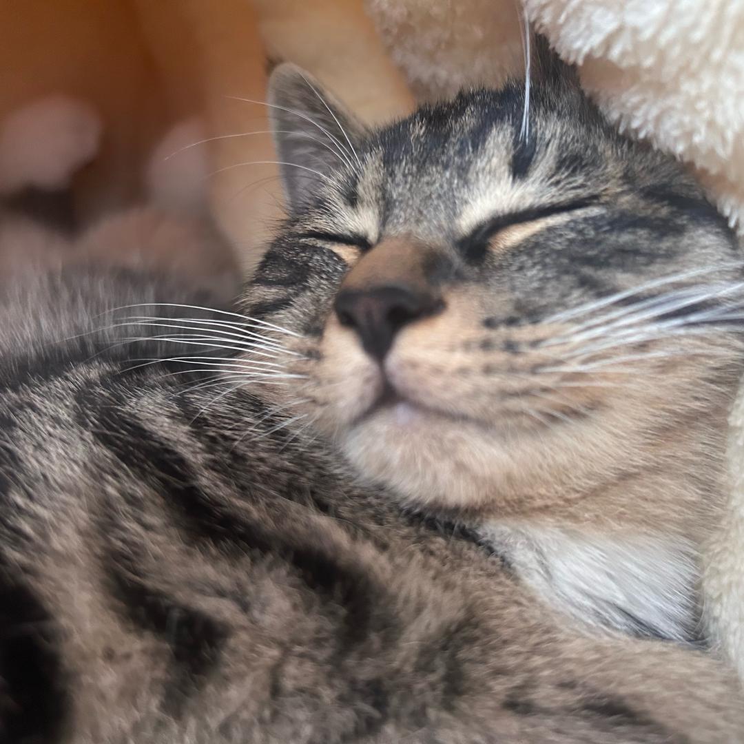 桉桉天天开心🥳