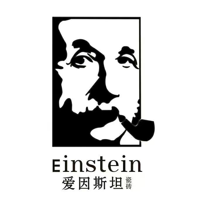 爱因斯坦瓷砖——张斌