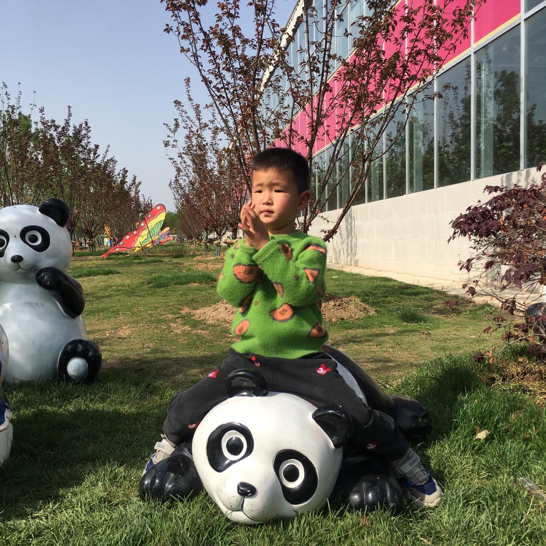 树树奶奶