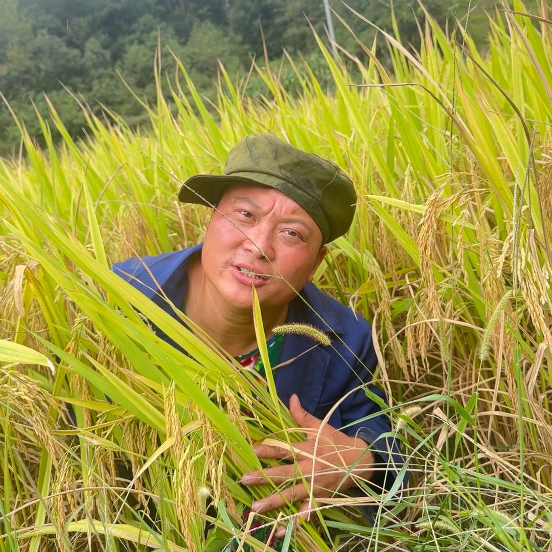 焦憨憨