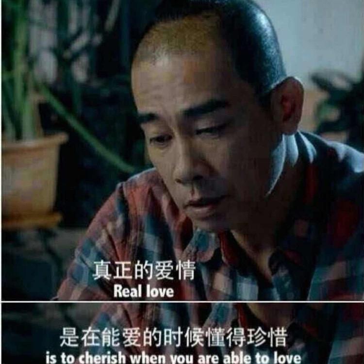 假装不爱