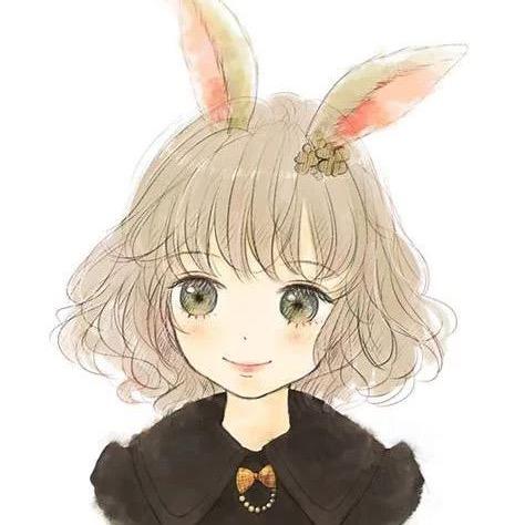 淘气猫