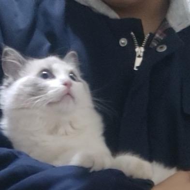 阿斯加德最飘逸的男子