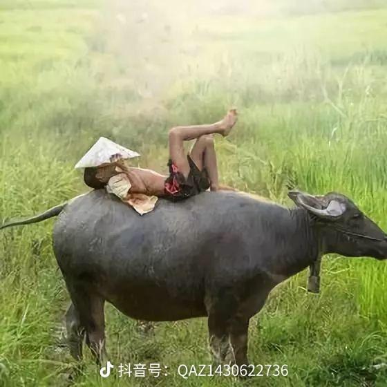 波仔