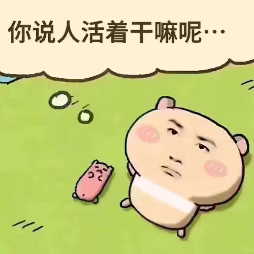 再也不跟你玩了 我要回家看小鸡不好惹