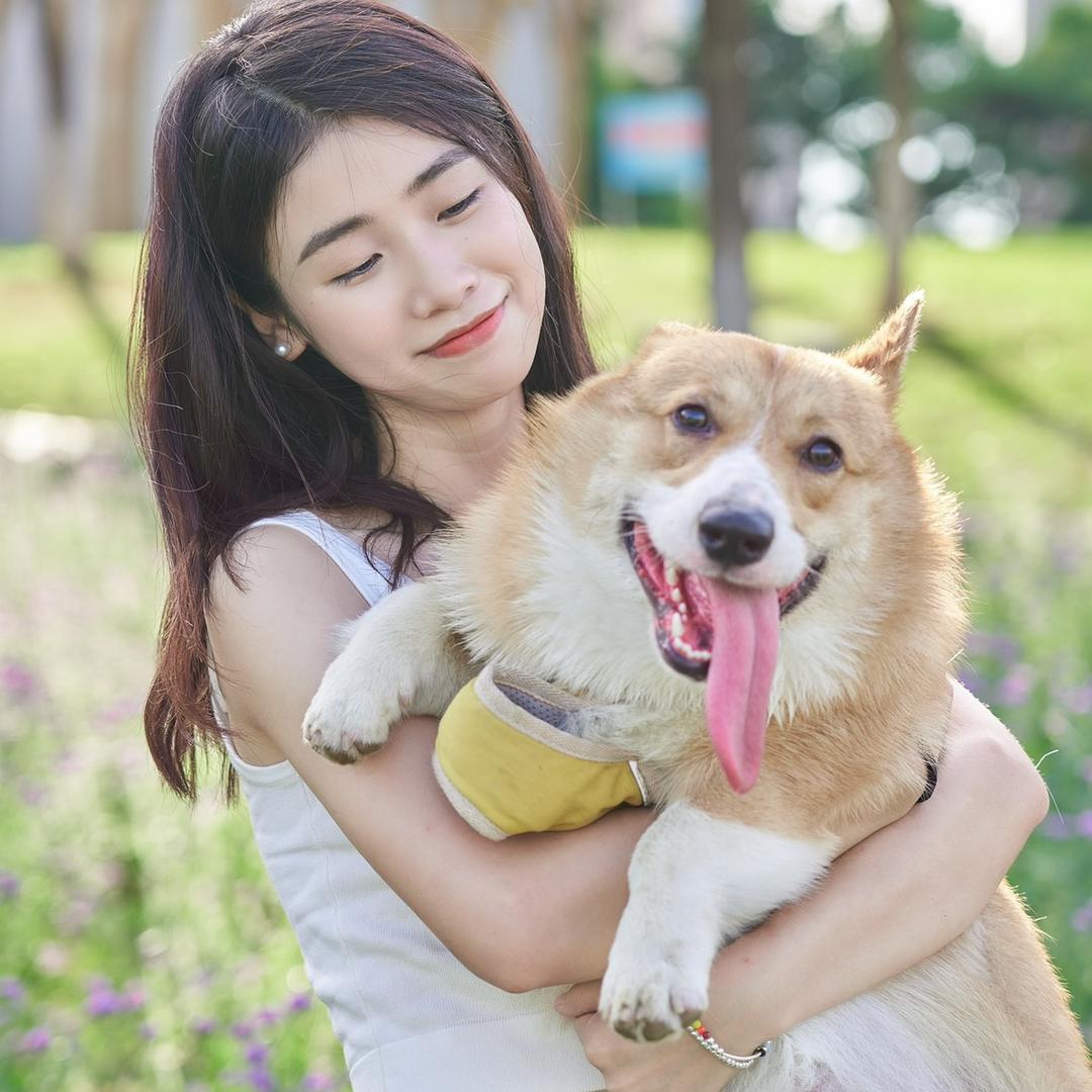 橙子爱睡觉