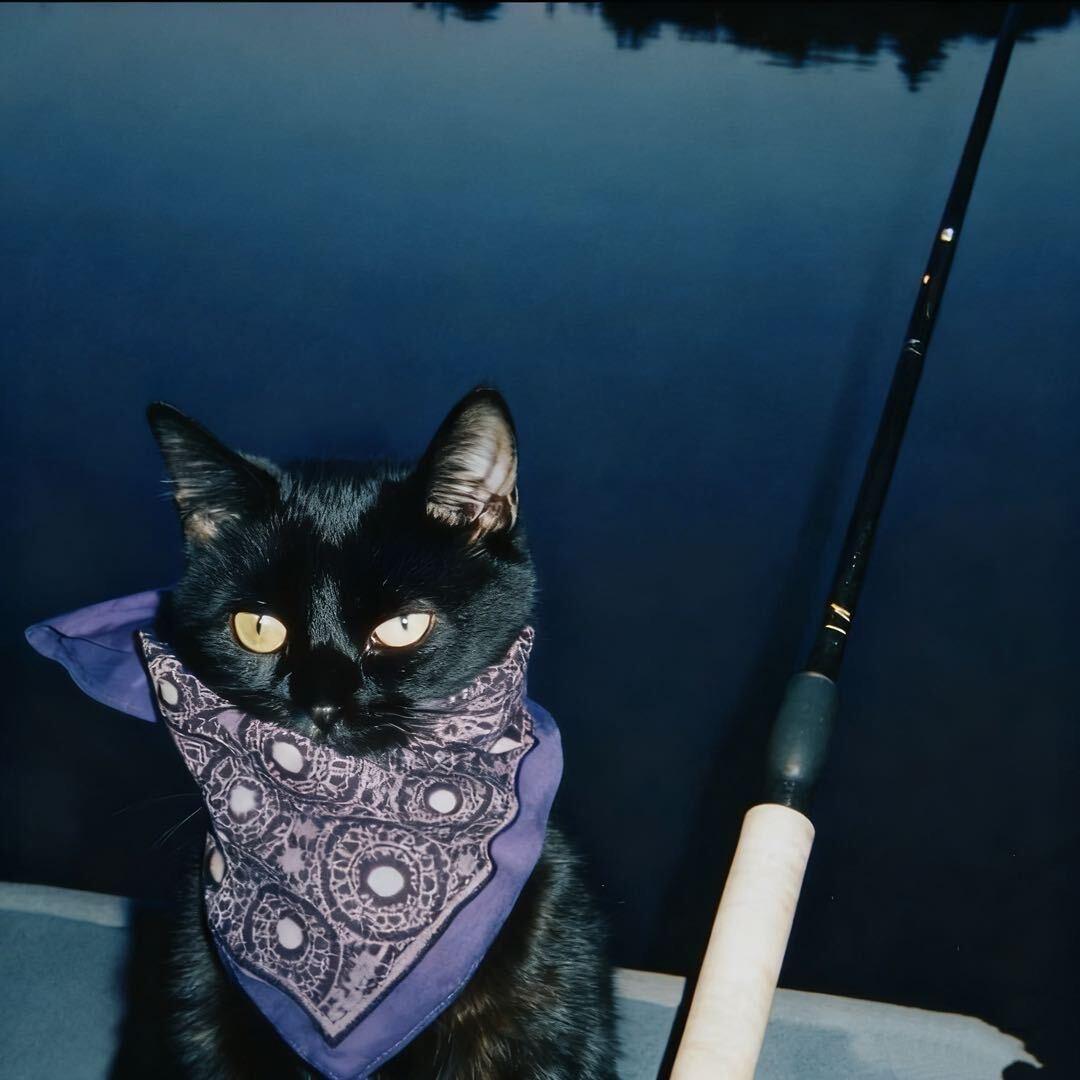 小🐟爱钓予🎣