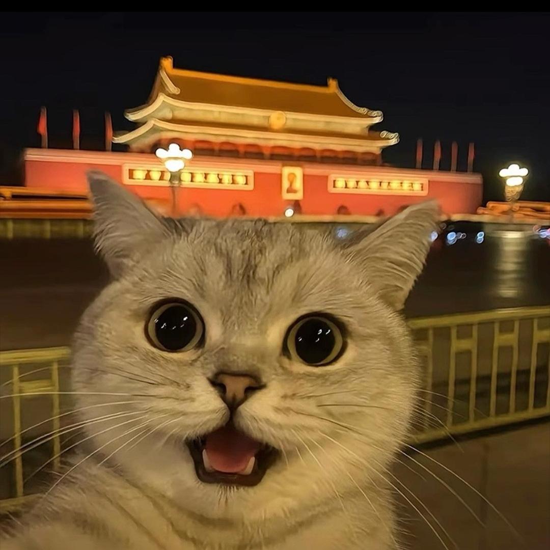 能上能下花样多