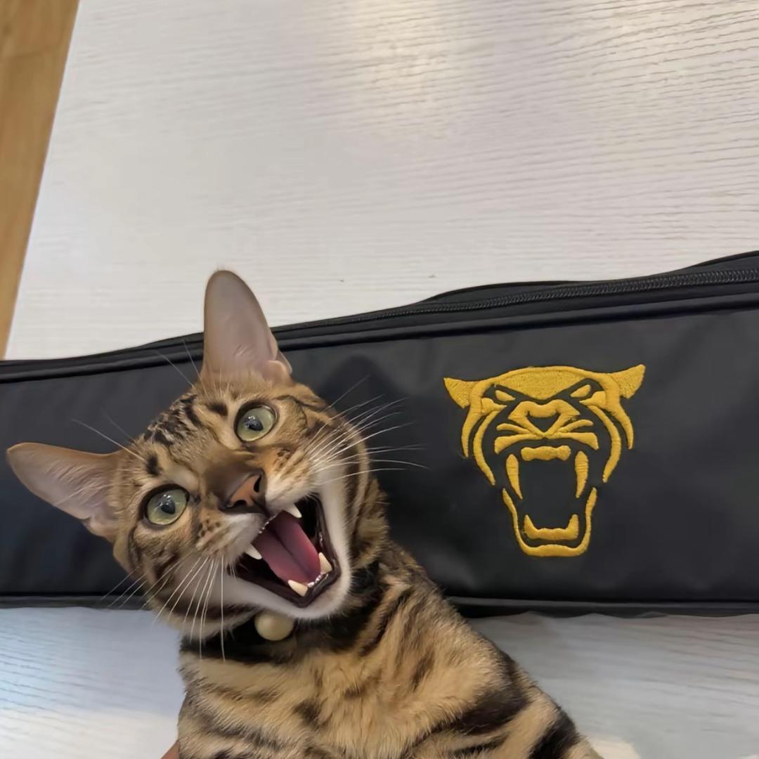 星际台球🎱俱乐部