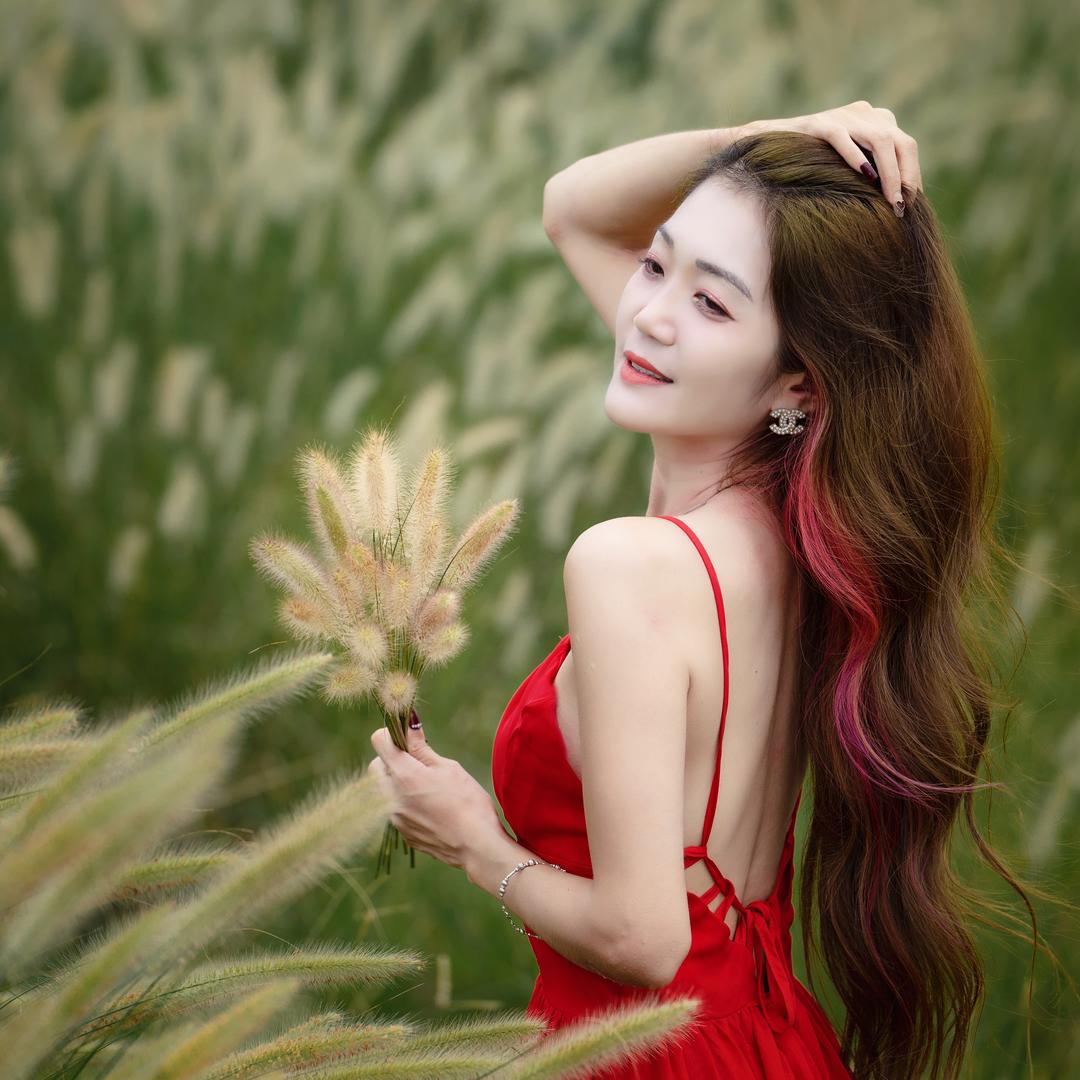 莉莉在巴拿马