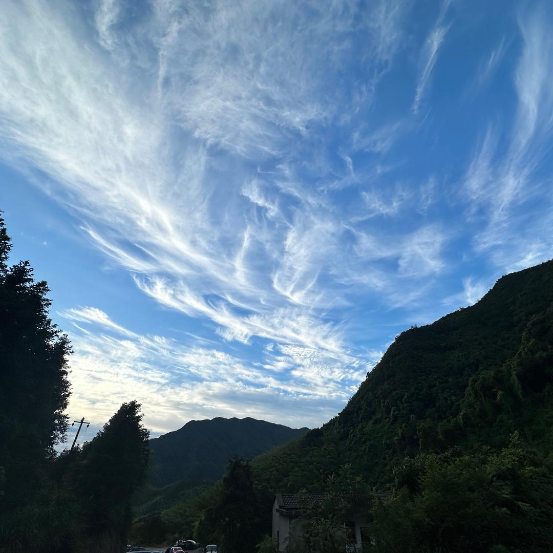 簡單