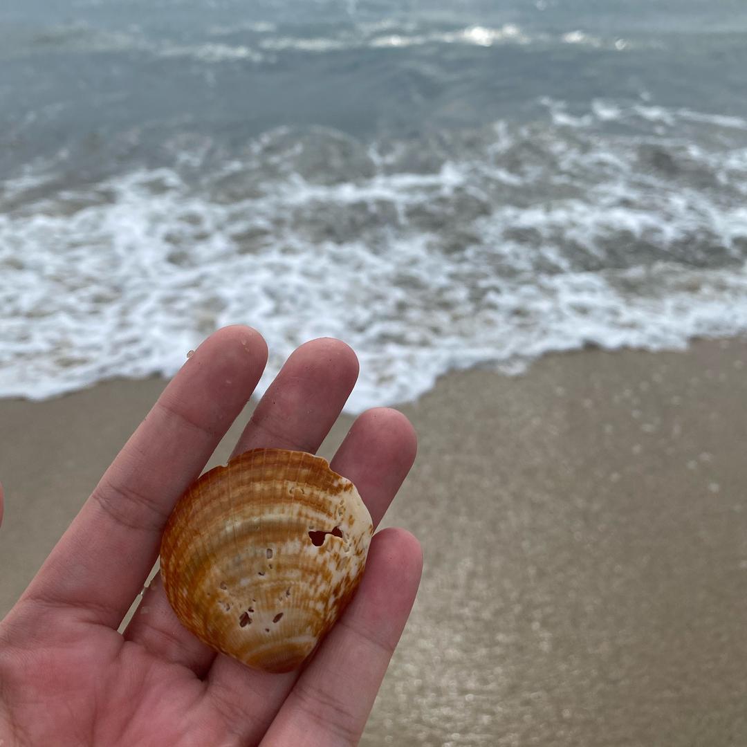 小鑫欣欣