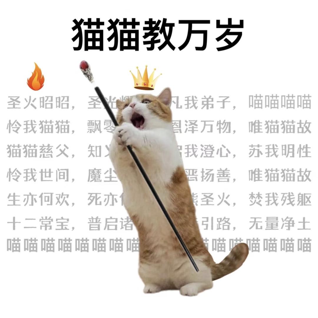 。。。。