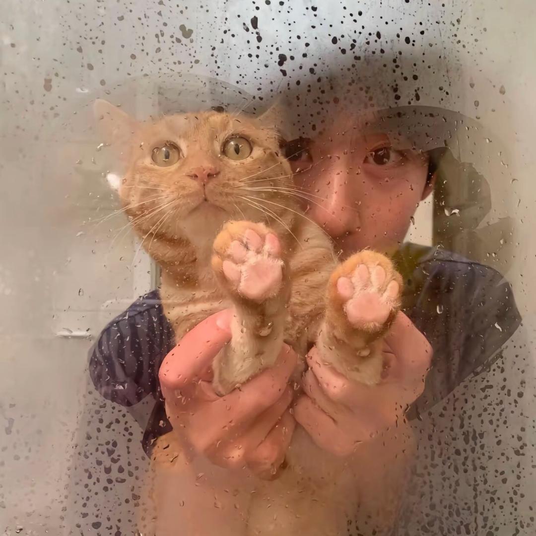 怎么又下雨%