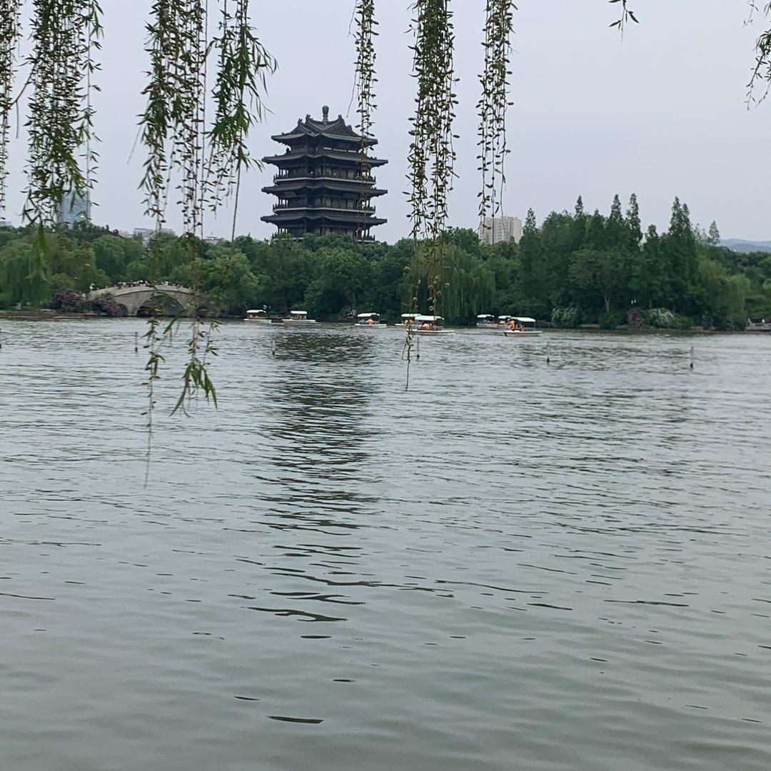 ZHOU  SHU   YUAN