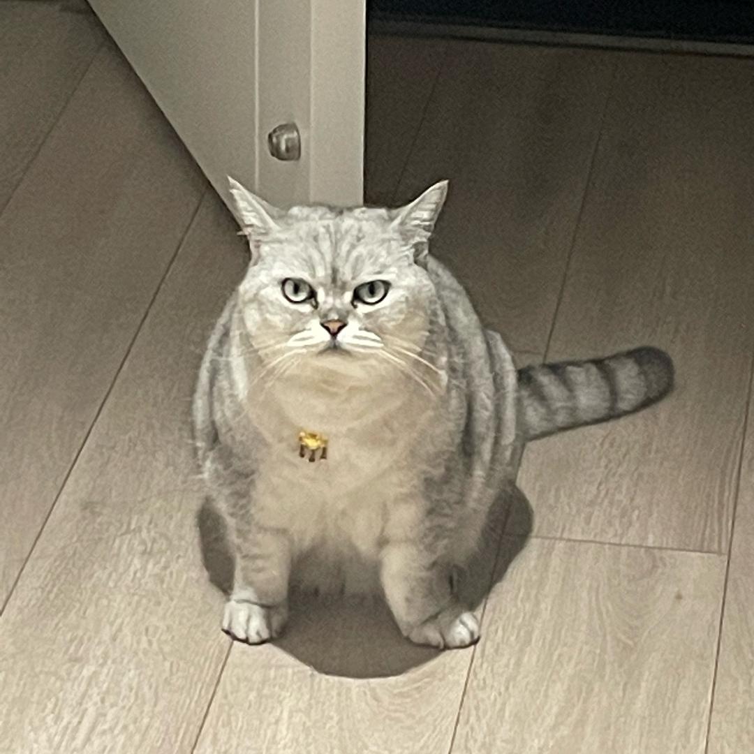 谢添