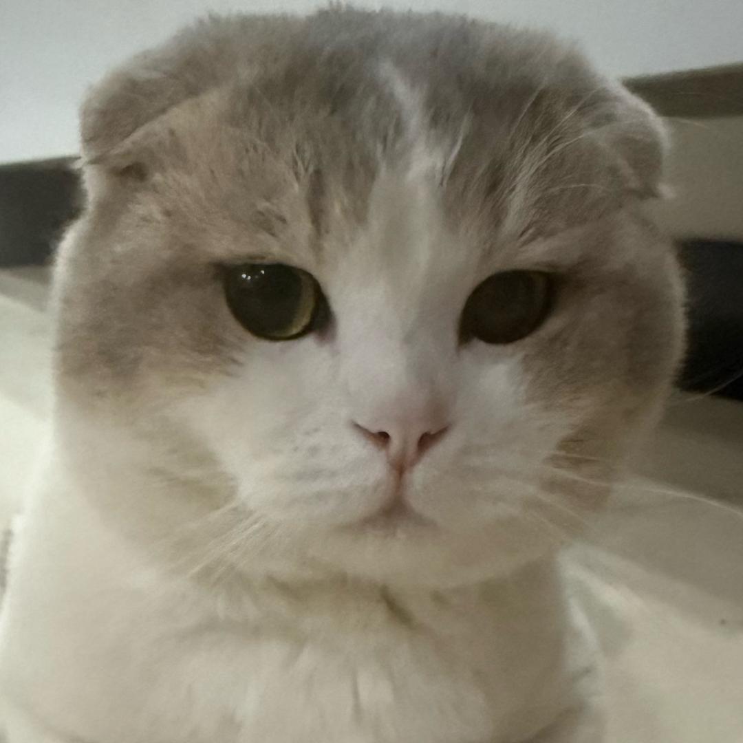 琉璃⁰²⁹