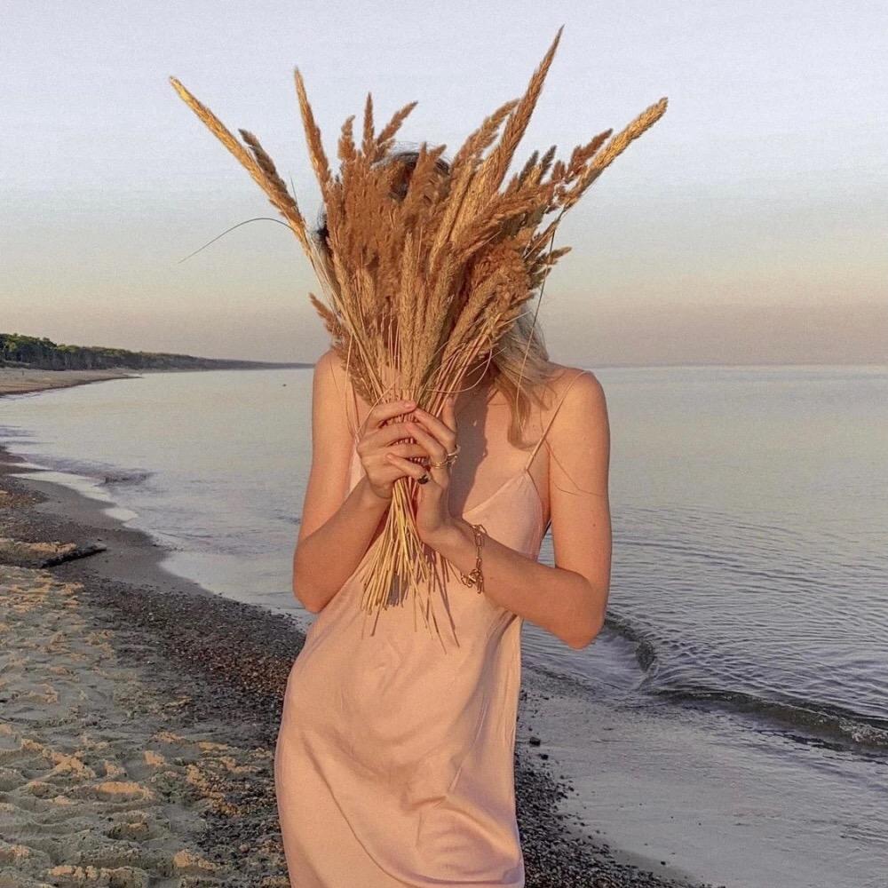 𝓼𝓾𝓷 🌼