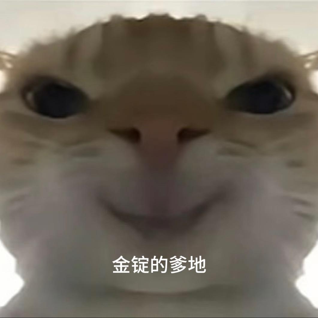 内向的金锭