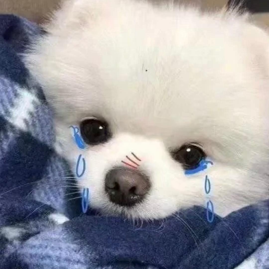 我不是张怼怼