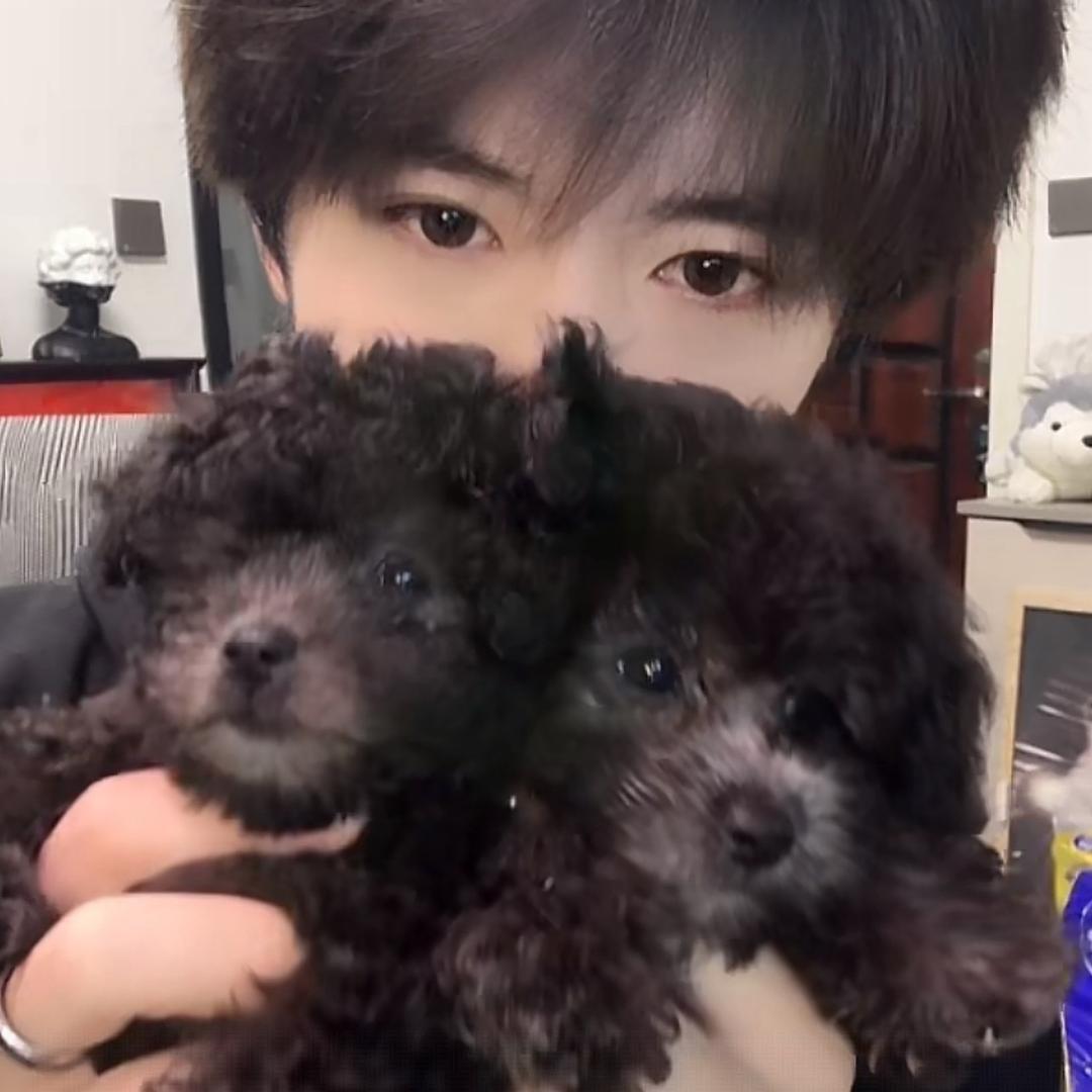 小草家的媛媛🌱