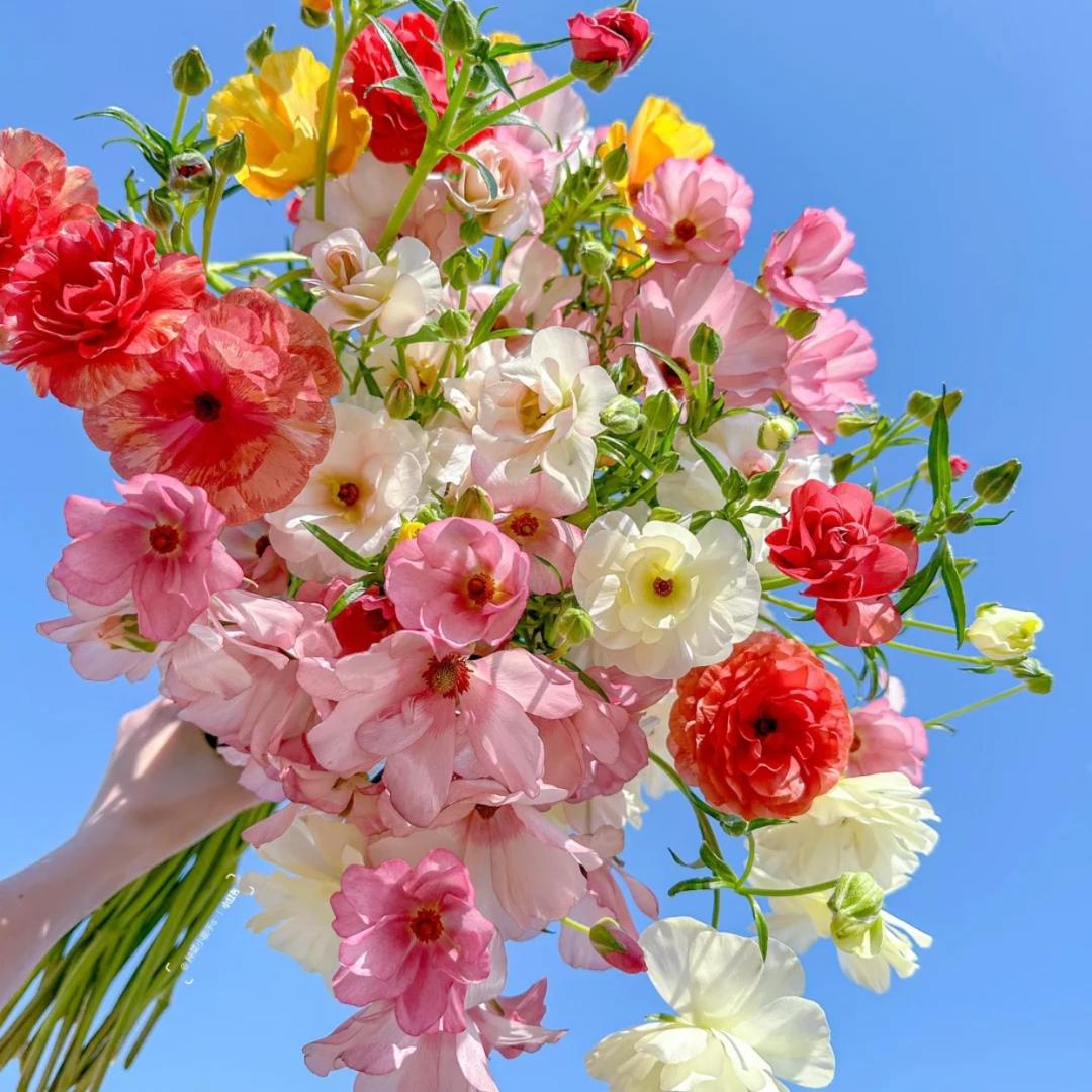 崔婶儿的店💐