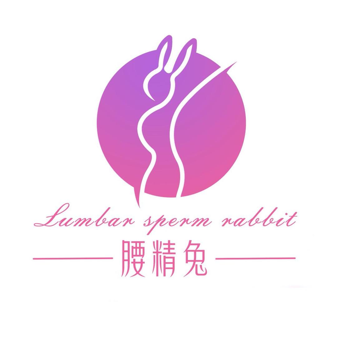 腰精兔形体美学