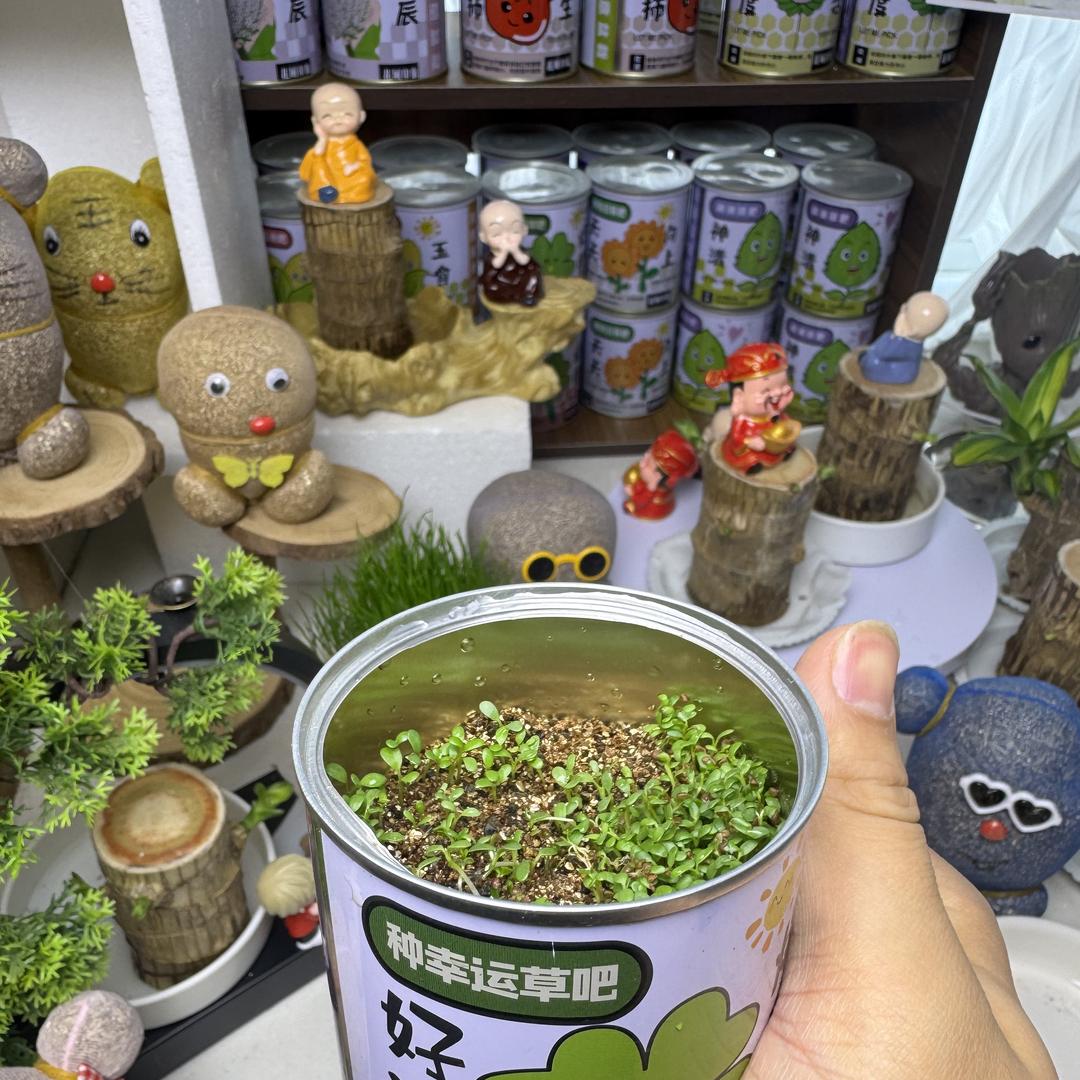 梵美种业