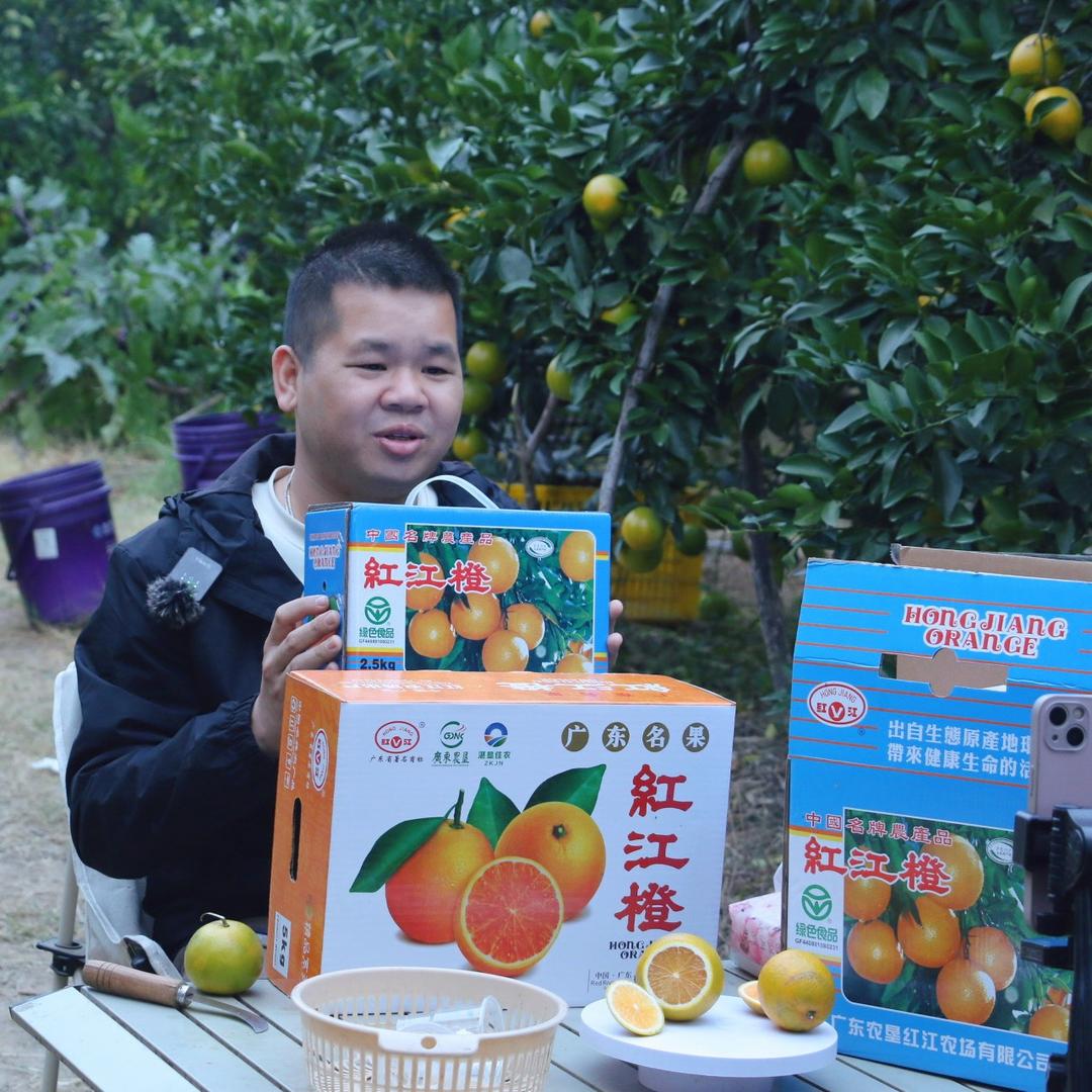 老曹红江橙（红江农场十队曹胜橙园）