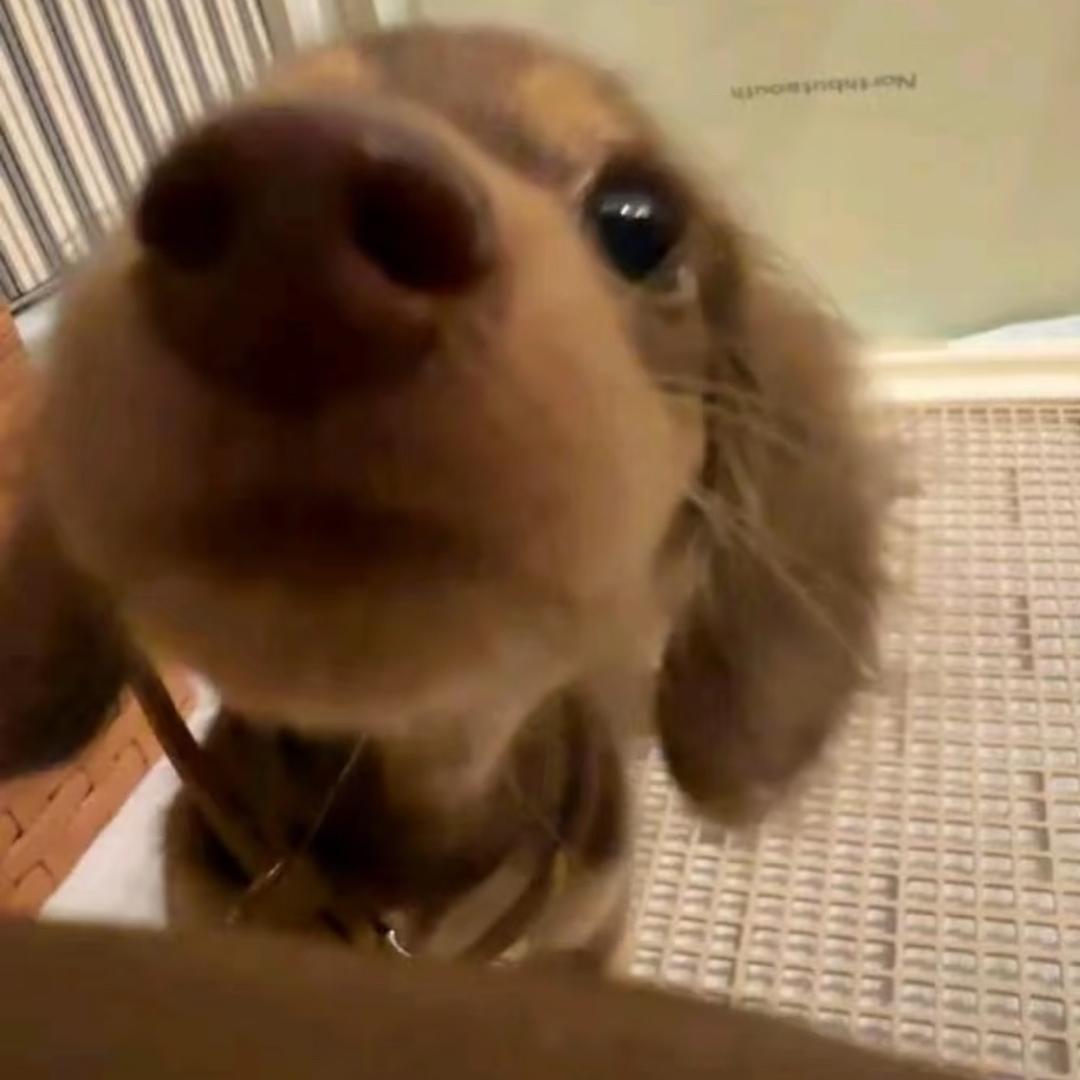🧸ɞ