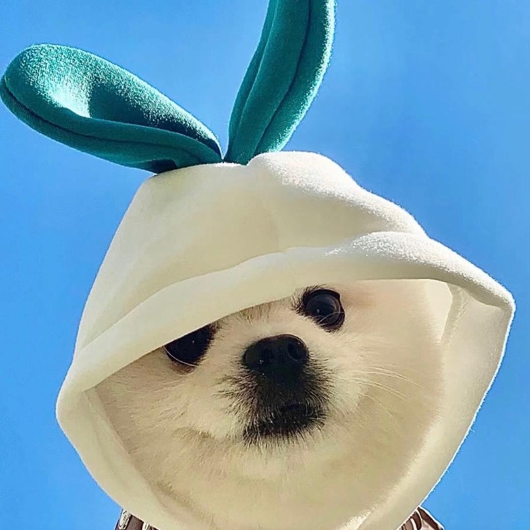 行.