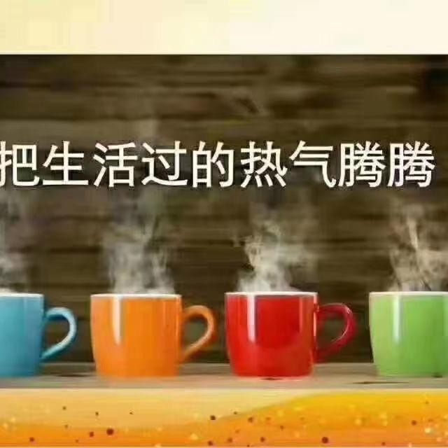 🌻向日葵🌻